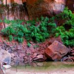 Zion National Park Hiking Trails: Emerald Pools Trail Zion - Hiking Zion has never been more beautiful than one can expect on this trail.