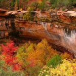 Zion National Park Hiking Trails: Emerald Pools Trail Zion - Hiking Zion has never been more beautiful than one can expect on this trail.