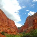 Family friendly hikes in Zion:Hike in Zion: South Fork of Taylor Creek | Easy Hiking Trail in Zion National Park: This is an easy hiking trail in zion.