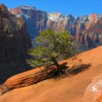 Zion National Park hiking trail: The Overlook | Zion National Park. Overlook Zion on one of many hikes in Zion. Explore Zion National Park hiking trail.
