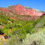 Family friendly hikes in Zion:Hike in Zion: South Fork of Taylor Creek | Easy Hiking Trail in Zion National Park: This is an easy hiking trail in zion.