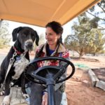 Animal Sanctuary in Utah | Best Friends Animal Sanctuary - A Kanab animal shelter offering great dog and cat adoption in Utah. Animal Sanctuary near Zion.