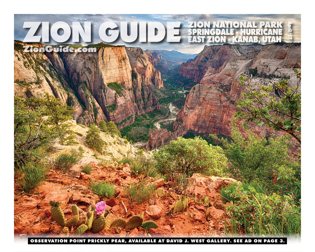 Zion National Park Guide | April 2017 Zion Guide
