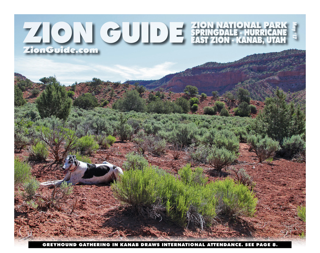 Zion National Park Guide | May 2017
