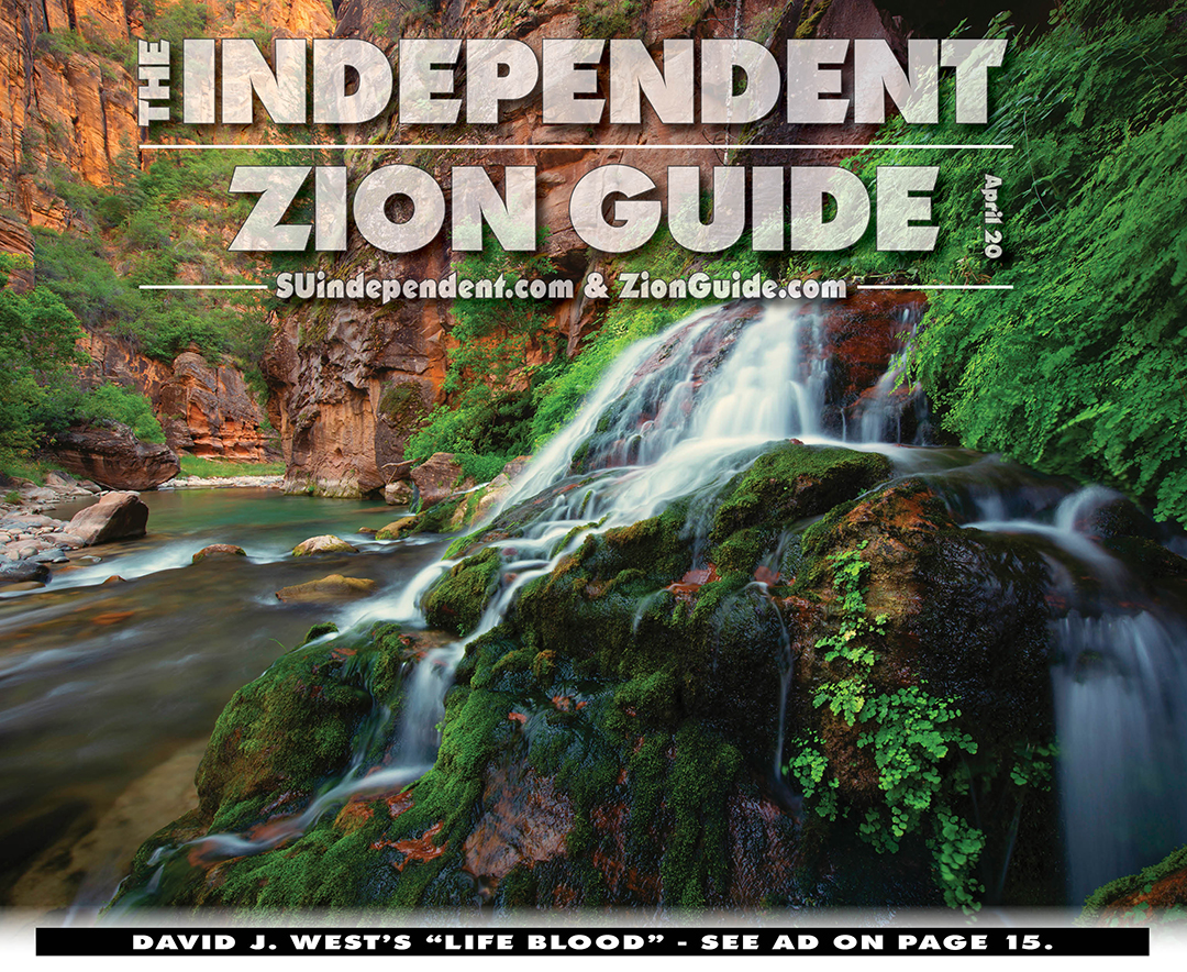 Zion National Park Travel Guide April 2020